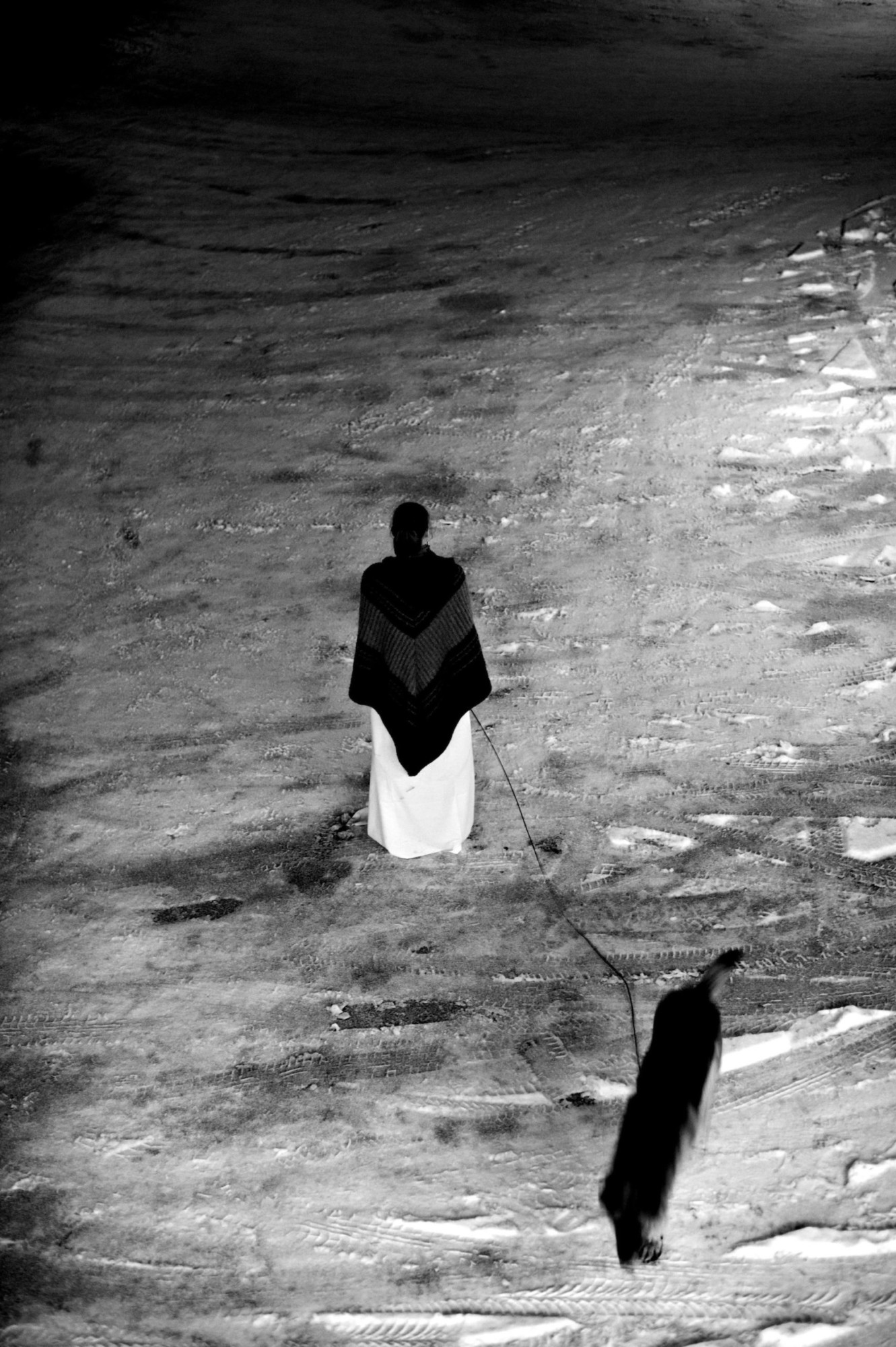 A letter to Tarkovsky A letter to Tarkovsky by ANITA PETRA HAMREMOEN