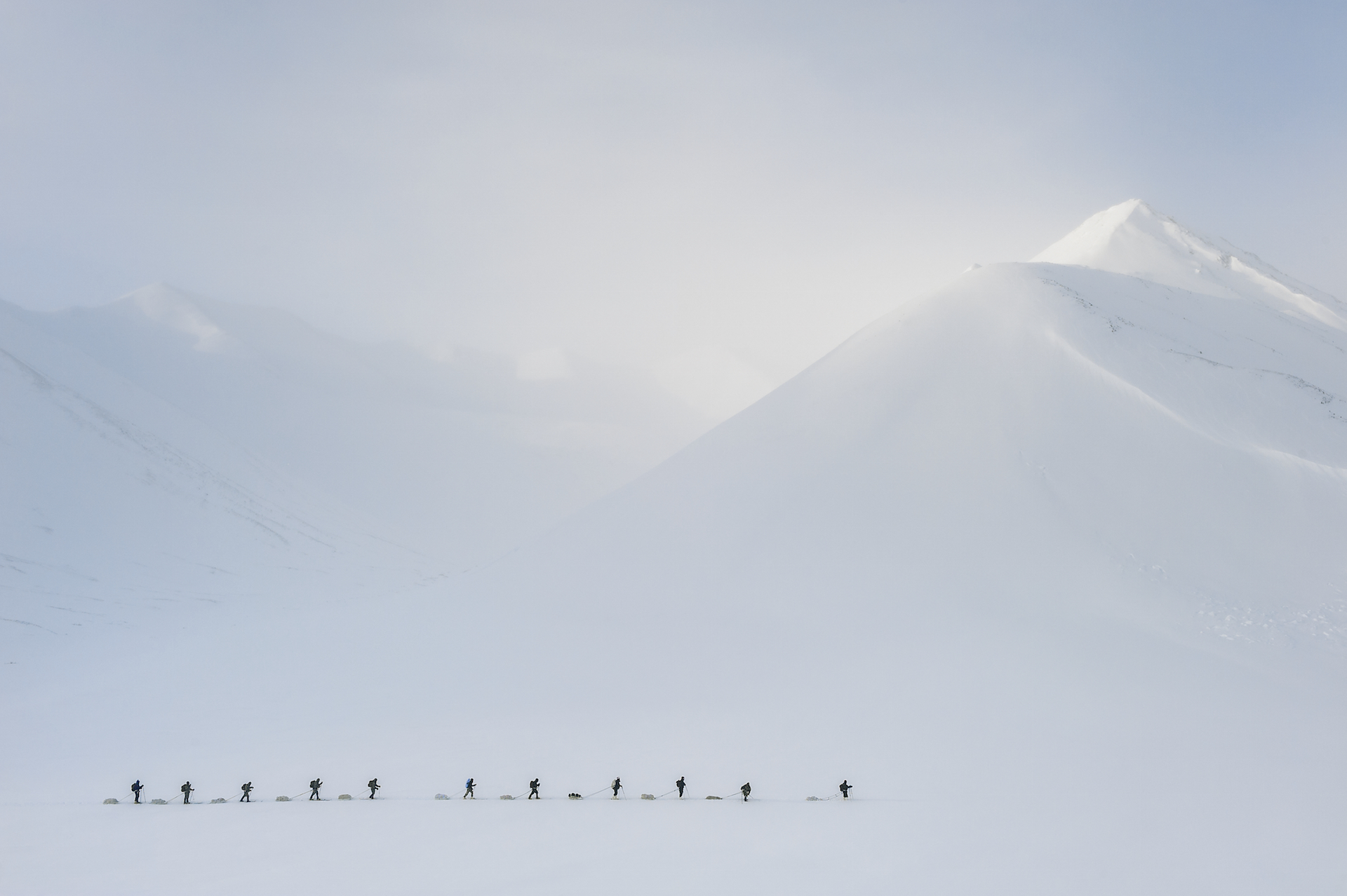 Arctic Procession Arctic Procession by HEATH SANDALL