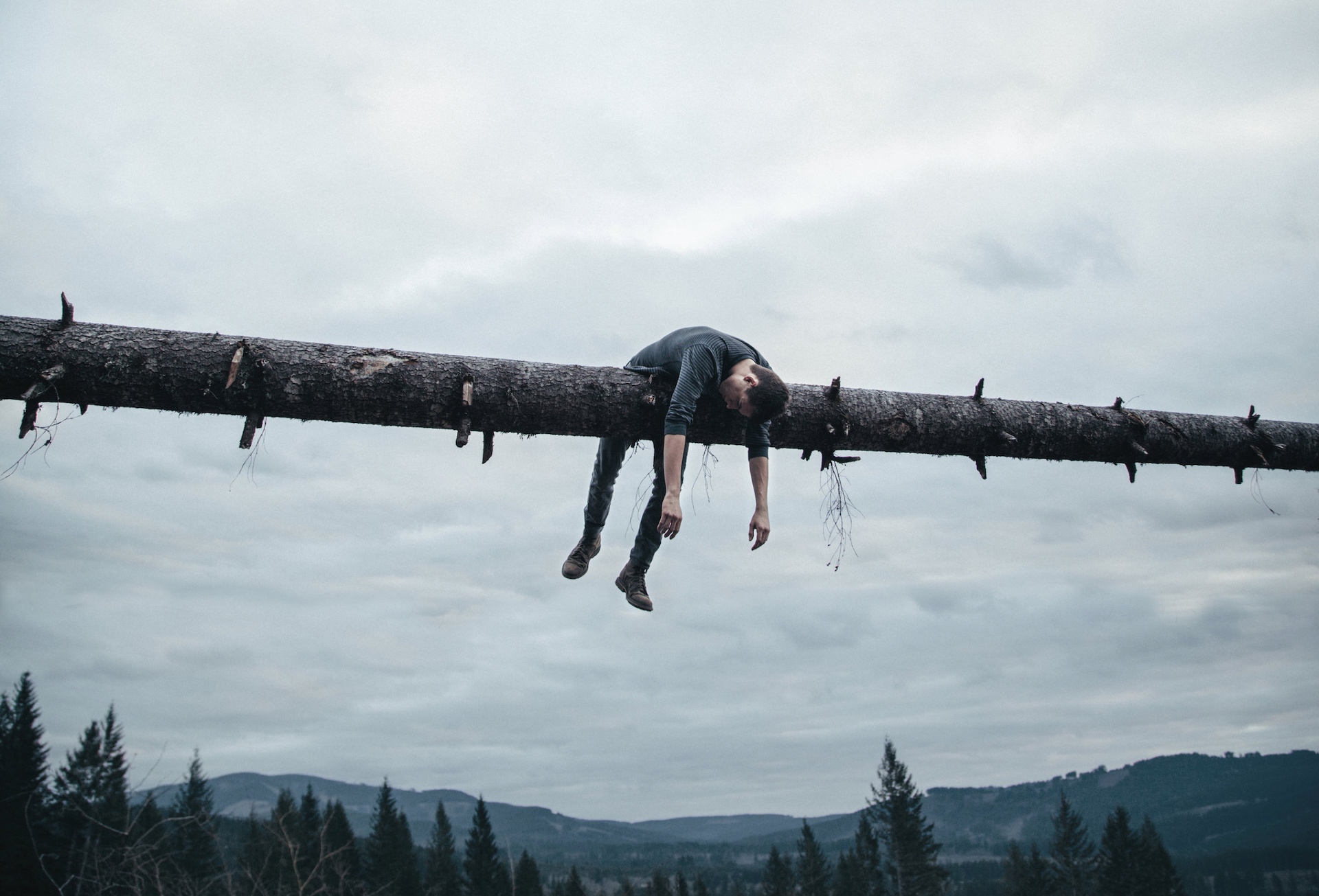 Clearcut Clearcut by Brendon Burton