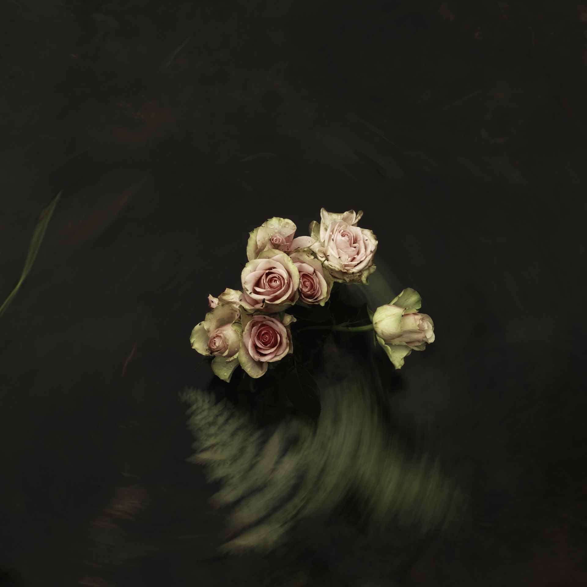 Gesturing roses Gesturing roses by Einar Sira