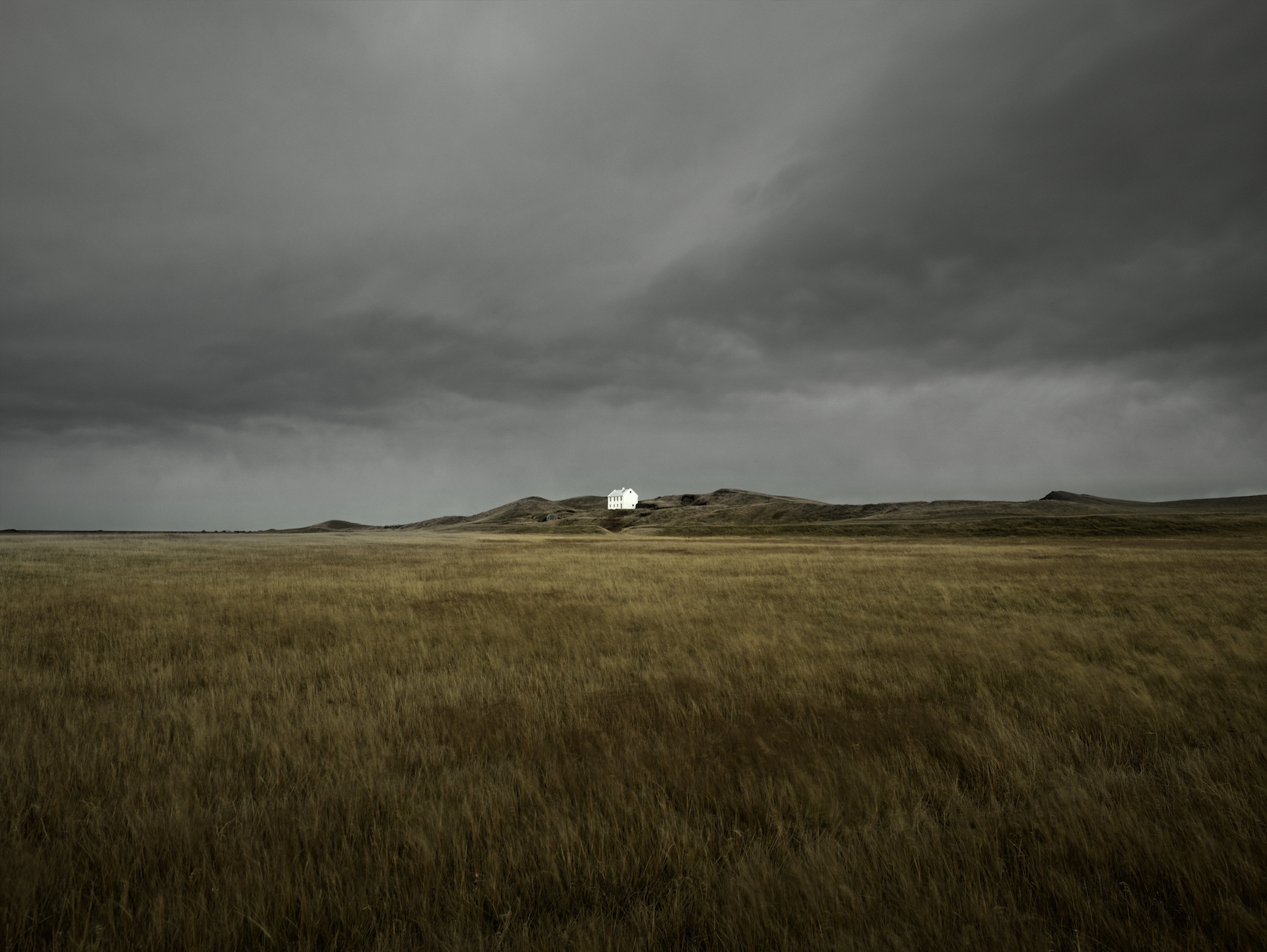 WHITE HOUSE WHITE HOUSE by TYLER GOURLEY
