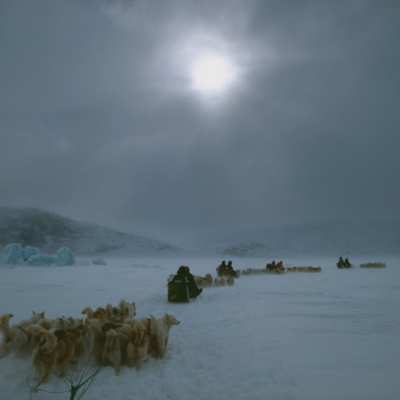Dog Sled Journey, Greenland