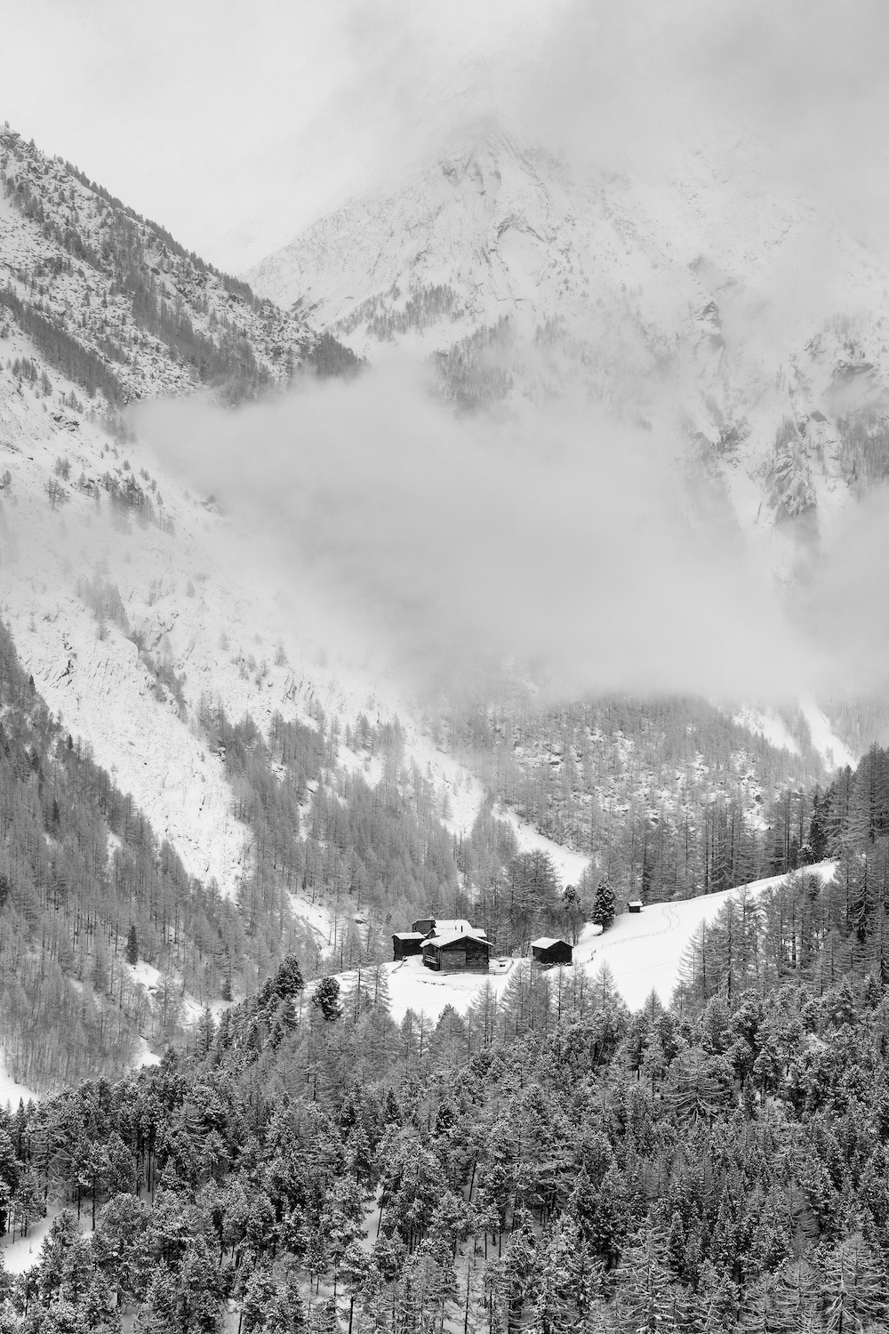Choza-Tasch-Suiza-josefina-erosa copy