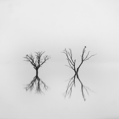 “Neblina” La Pampa, Argentina