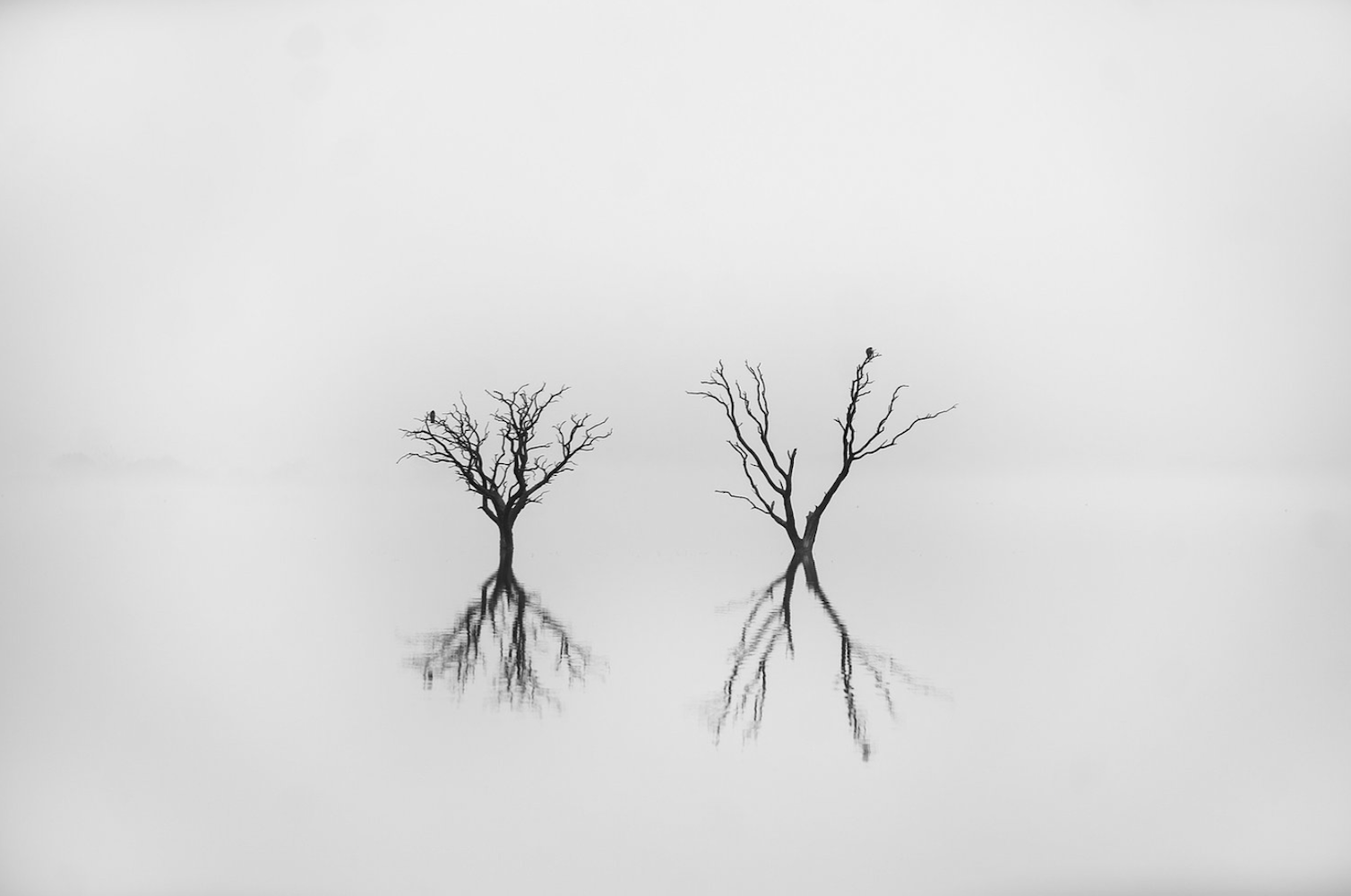 Neblina, La Pampa, Argentina 2016