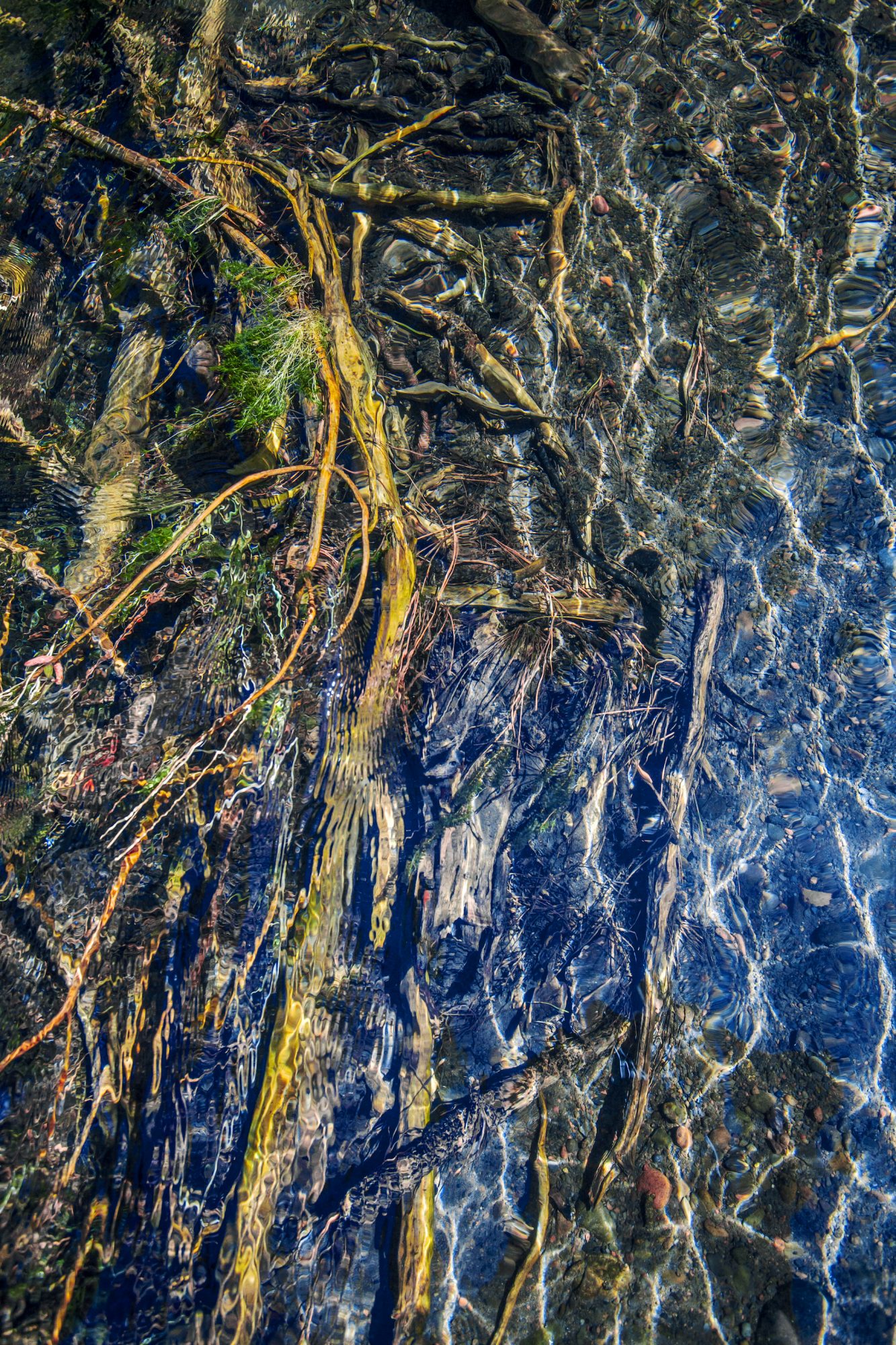 2-Riverine_hw Metolius_MG_2022