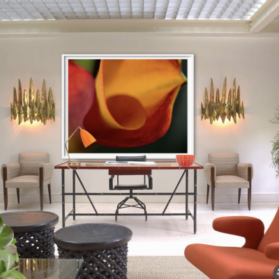 Untitled (Calla Lily 4)