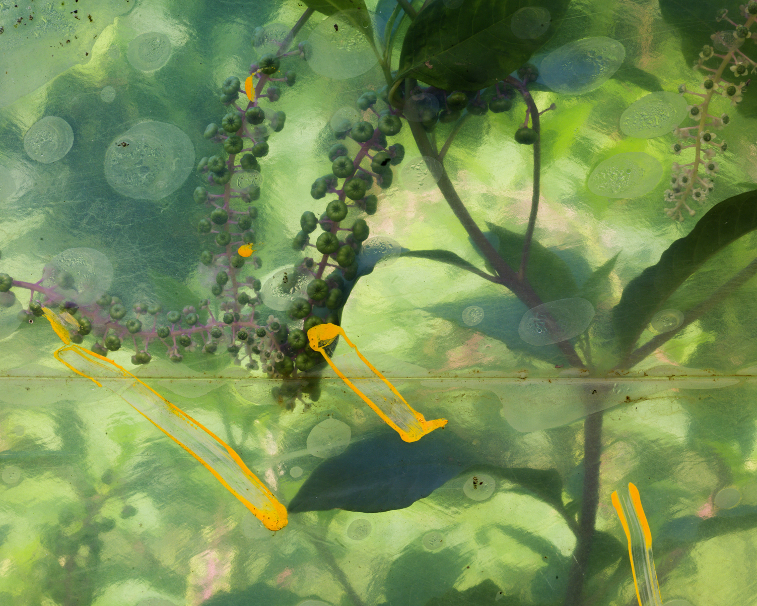 CG_216_Tampas_Hothouse #4