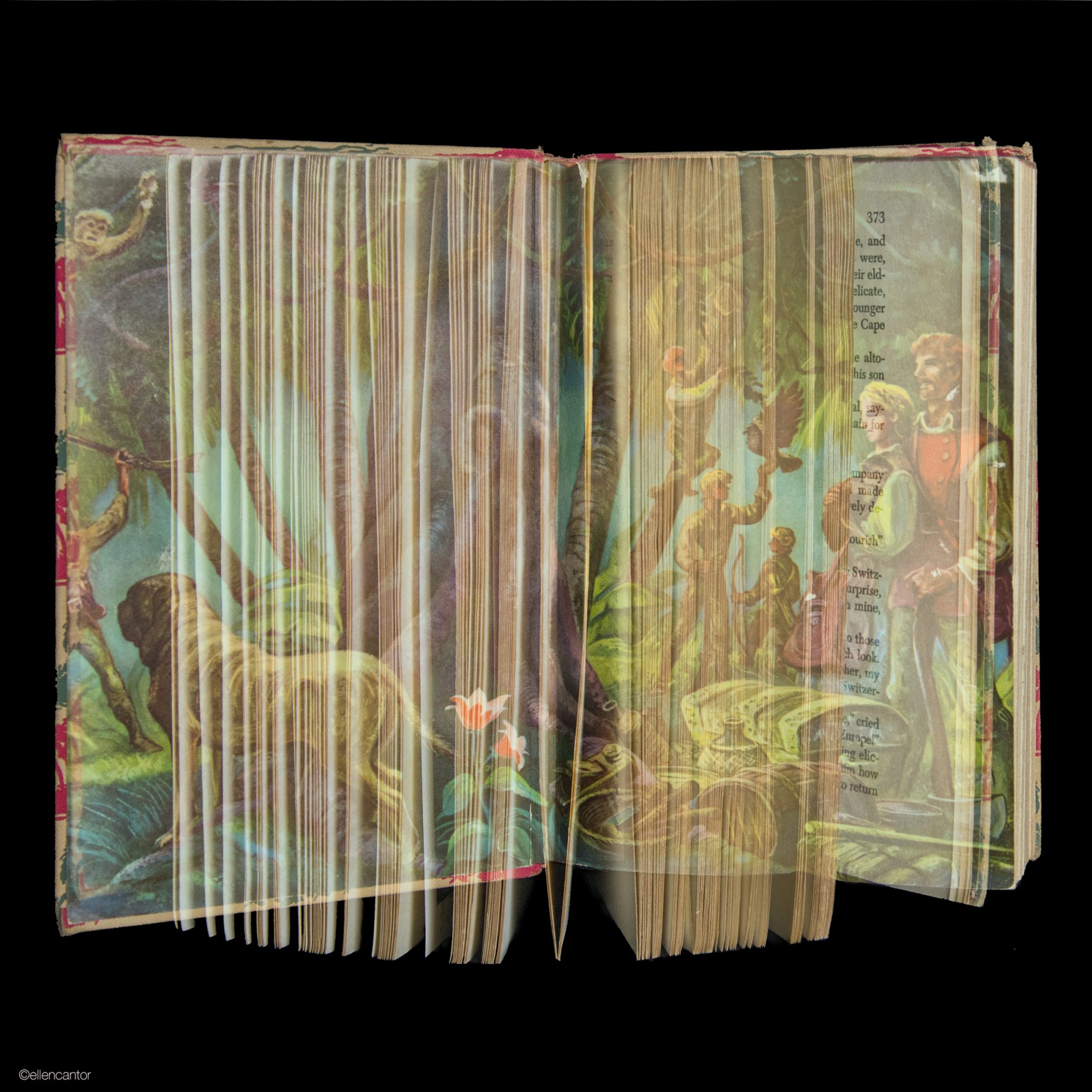 CG_229Cantor_Swiss Family Robinson